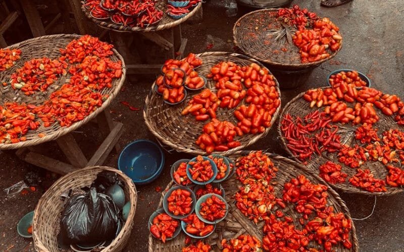 El Salvadors Coffee Revolution African Varieties Redefine the Specialty Scene