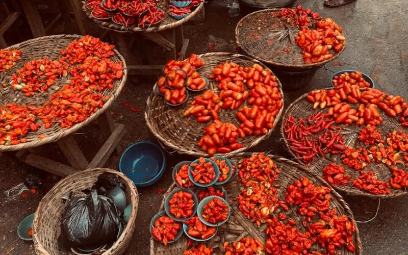 El Salvadors Coffee Revolution African Varieties Redefine the Specialty Scene