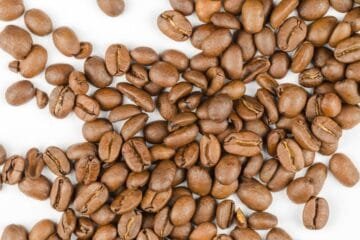 Mastering the Roast: Gesha and Red Bourbon for Filter Coffee