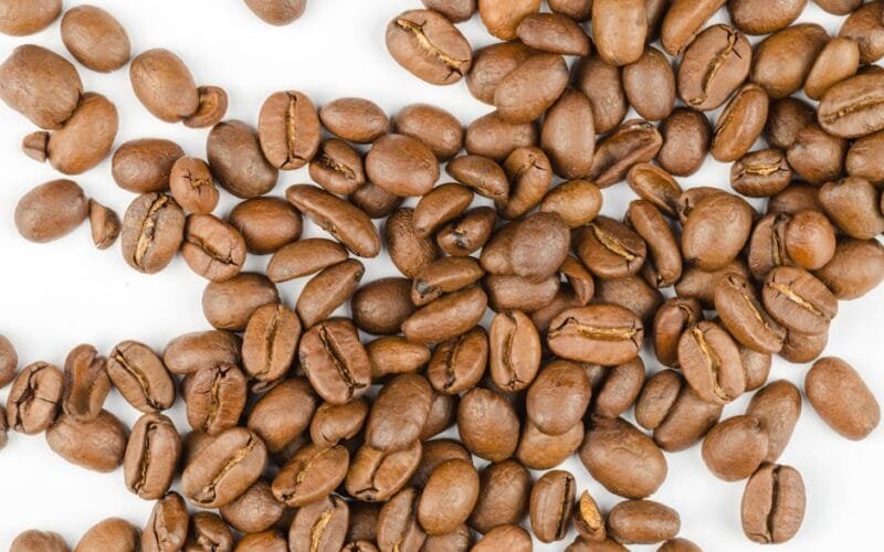 Mastering the Roast Gesha and Red Bourbon for Filter Coffee