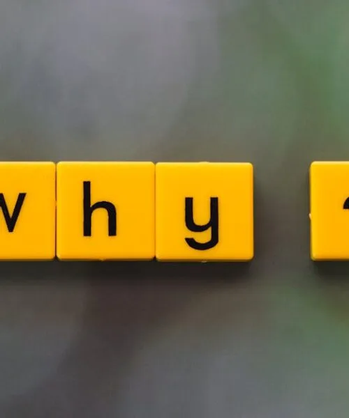 Why Your Coffee Lacks the Fruit Notes You Paid For