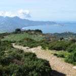 Sardinias Hidden Wine Gems A Guide to Natural Winemaking in the Northwest