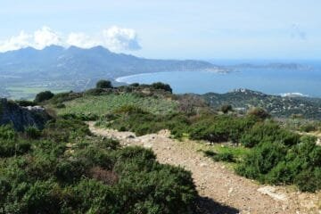 Sardinia’s Hidden Wine Gems: A Guide to Natural Winemaking in the Northwest