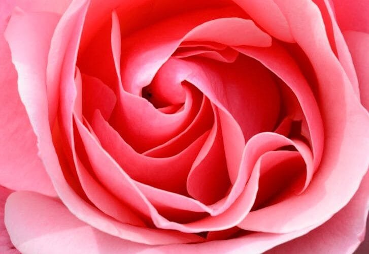 The Soft Bloom A New Approach to Espresso Extraction