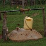 A Taste of Kenyas Coffee Legacy at Fairview Estate