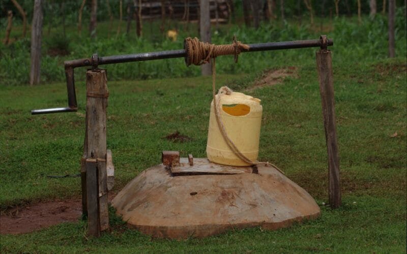 A Taste of Kenyas Coffee Legacy at Fairview Estate