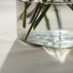 The Silverskin Mystery Why Your Roasts Keep Turning Dark