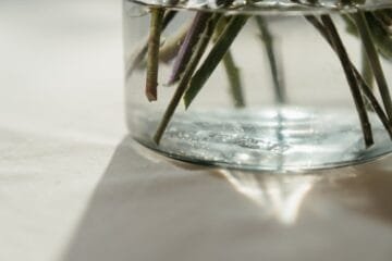 The Silverskin Mystery: Why Your Roasts Keep Turning Dark