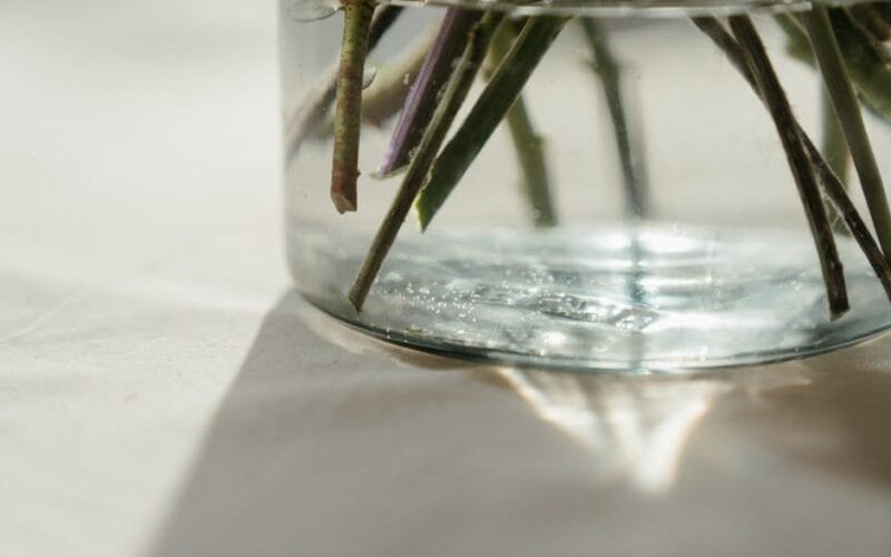 The Silverskin Mystery Why Your Roasts Keep Turning Dark