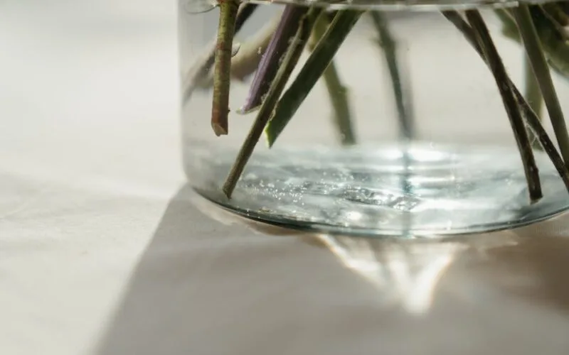 The Silverskin Mystery: Why Your Roasts Keep Turning Dark