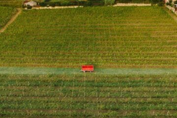 Napa Valley’s Secret Weapon: Cave Dinners and Family Stories