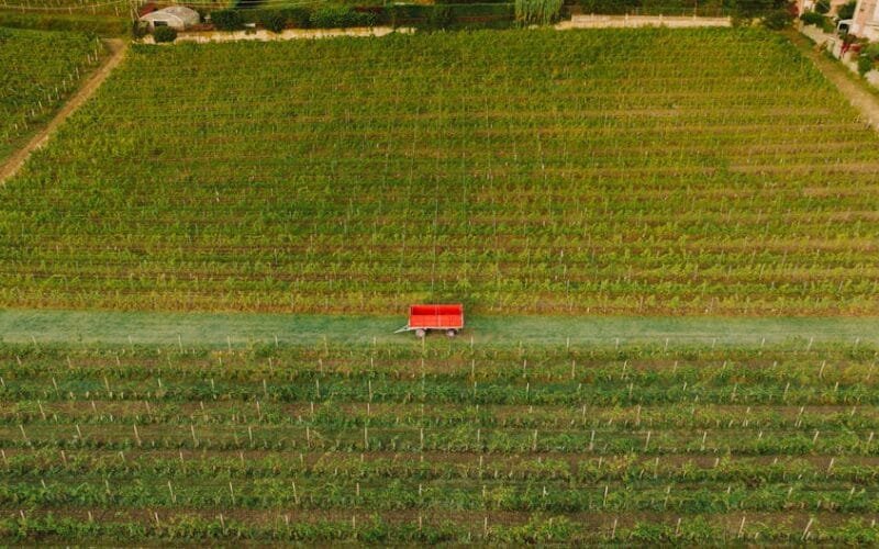 Napa Valleys Secret Weapon Cave Dinners and Family Stories