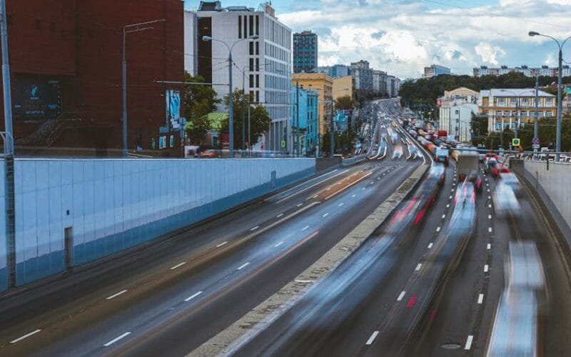 Time Slows on Jingmai Mountain