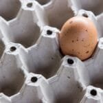 The Quiet Elegance of Xiaguan 2005 T8653