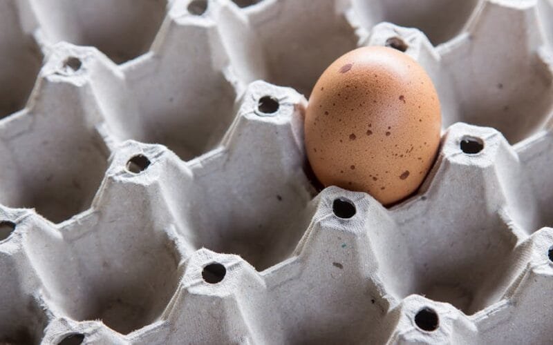 The Quiet Elegance of Xiaguan 2005 T8653