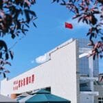 The 30th Anniversary Xiaguan Puerh A Deep Dive into Its Flavor Profile