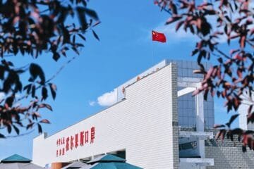 The 30th Anniversary Xiaguan Puerh: A Deep Dive into Its Flavor Profile