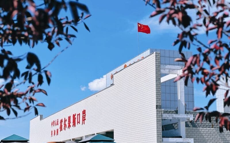 The 30th Anniversary Xiaguan Puerh: A Deep Dive into Its Flavor Profile