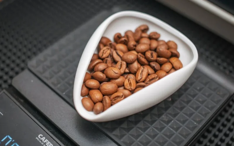 A 10-Year-Old’s Coffee Ritual: How Observation Turns Kids Into Baristas