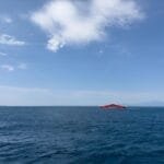 Nerello Mascalese The Etna Rosso That Defies Expectations