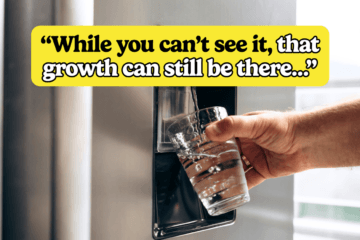 The Hidden Mold Havens in Your Kitchen (And How to Banish Them)