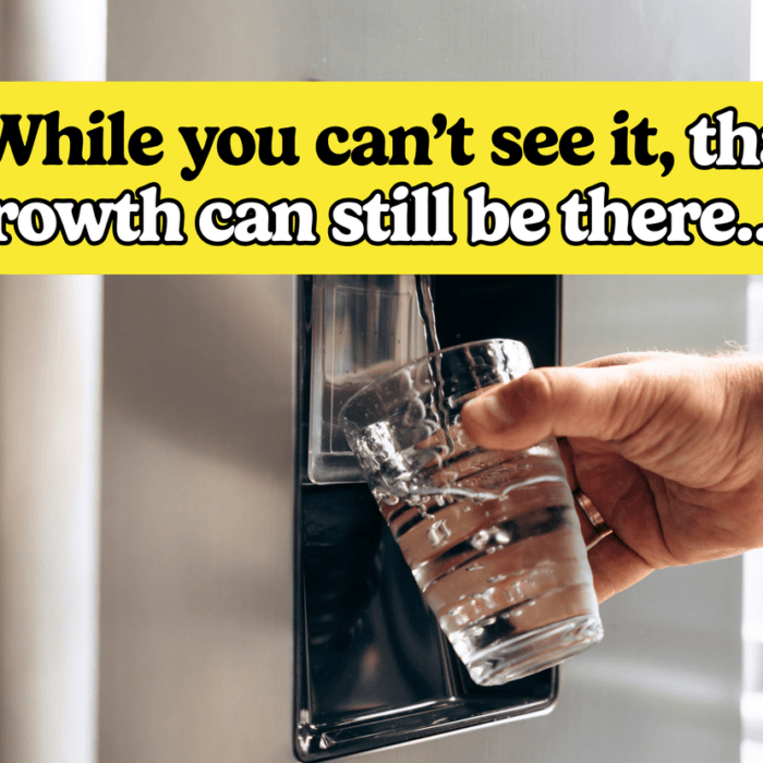 The Hidden Mold Havens in Your Kitchen (And How to Banish Them)