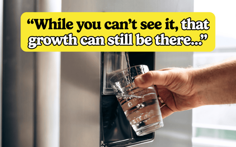 The Hidden Mold Havens in Your Kitchen And How to Banish Them