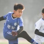 Why Young Sheng Puer Feels One Noteand What You Can Do About It