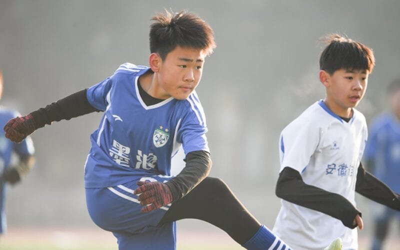 Why Young Sheng Puer Feels One Noteand What You Can Do About It