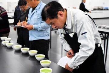 China’s Matcha Ambitions Challenge Japan’s Legacy