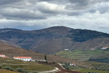 Auteur Wines’ Tasting Room Reimagines California’s Wine Country