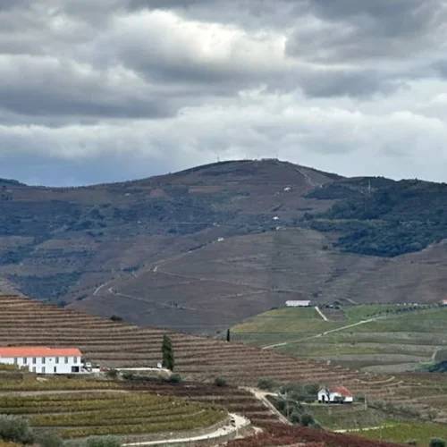 Auteur Wines’ Tasting Room Reimagines California’s Wine Country