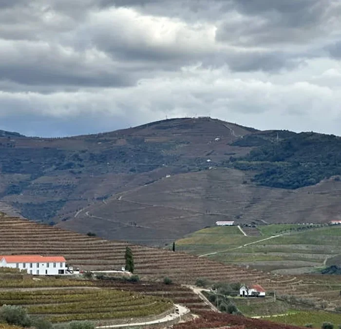 Auteur Wines’ Tasting Room Reimagines California’s Wine Country