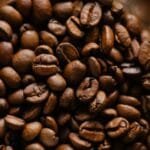 Tampas Coffee Lab Blends Roasting Community and Innovation