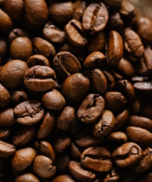 Tampa’s Coffee Lab Blends Roasting, Community, and Innovation