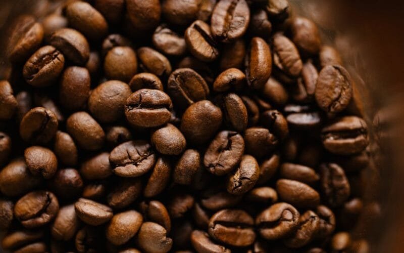 Tampa’s Coffee Lab Blends Roasting, Community, and Innovation