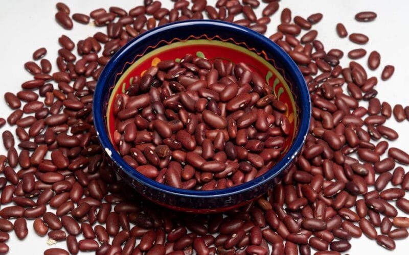 Does a Longer Bloom Replace the Need for Resting Roasted Beans?