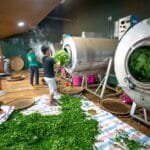 Chinas Tea Dominance Masks a Global Branding Challenge