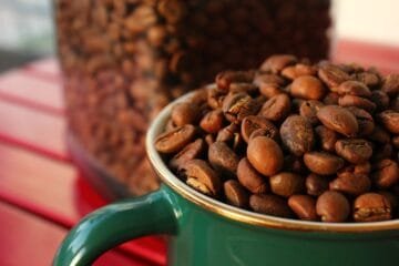 First Roast Today: A Roaster’s Raw Take on the Process