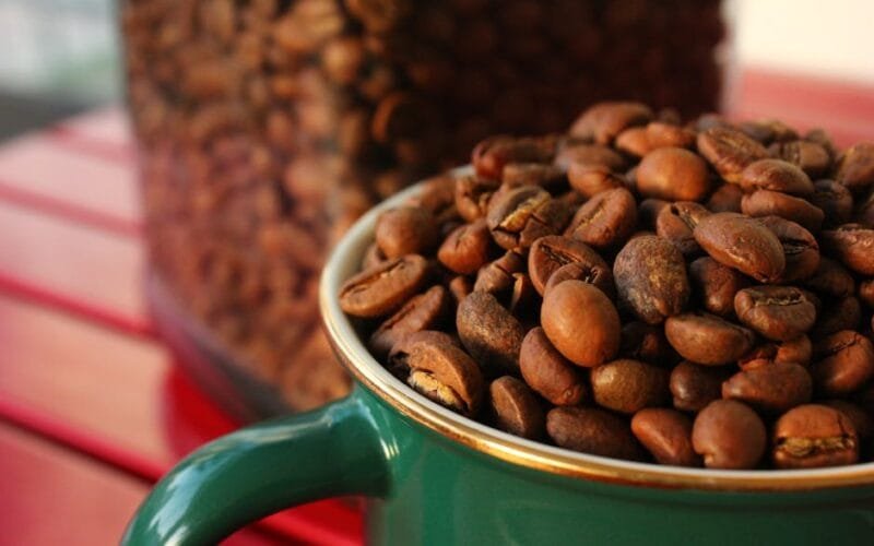 First Roast Today A Roasters Raw Take on the Process