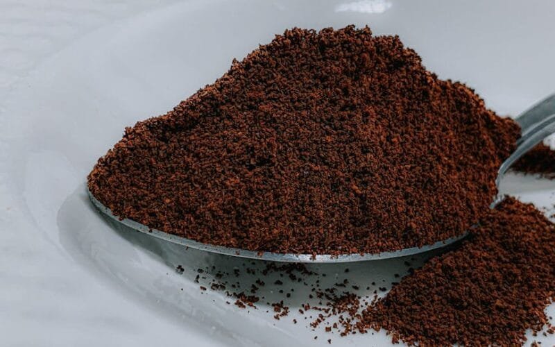 Coffees 1 Deforestation Blame A New Study Challenges the Narrative