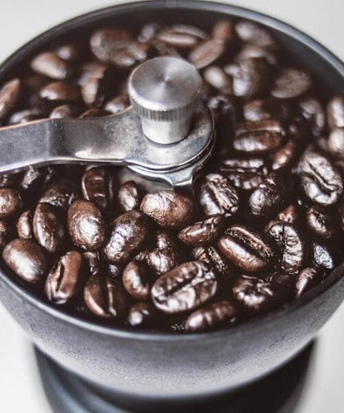 The Art of Choosing the Perfect Home Roaster