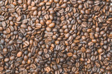 The Mysore Nuggets Dilemma: Medium or Dark?