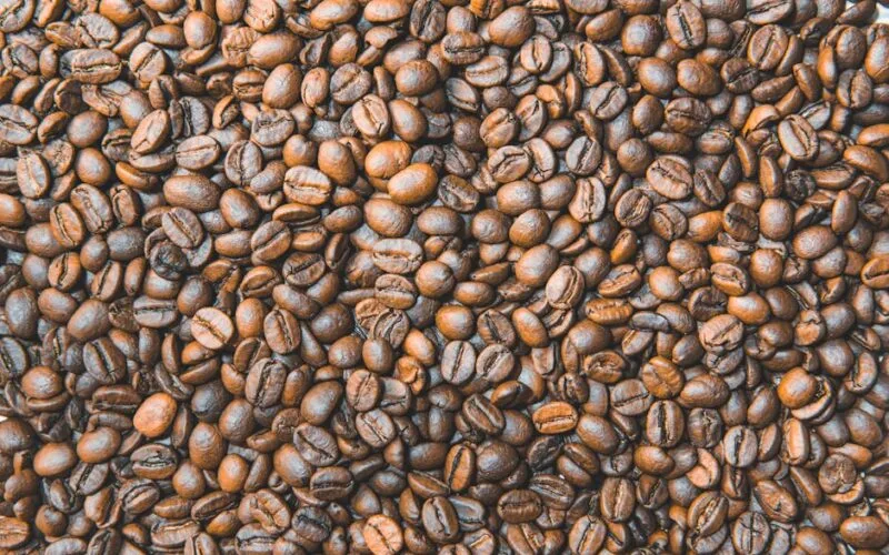 The Mysore Nuggets Dilemma: Medium or Dark?