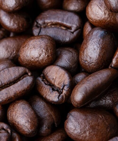 The Eastside Garage Roaster Building Coffee Community