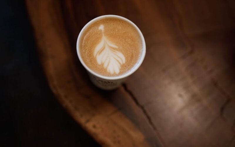 Latte Art Evolution From Nervous Beginnings to Masterful Milk Textures