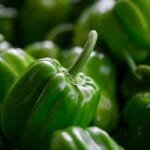 Sweet Marias Green Beans A Fruit Lovers Guide to Finding the Right Roast