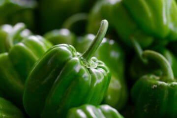 Sweet Maria’s Green Beans: A Fruit Lover’s Guide to Finding the Right Roast