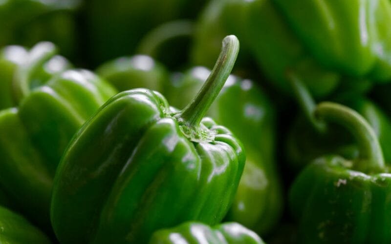 Sweet Marias Green Beans A Fruit Lovers Guide to Finding the Right Roast