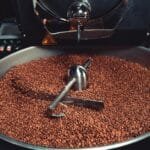 The Rex Roaster A New Benchmark in Affordable Roasting Tech
